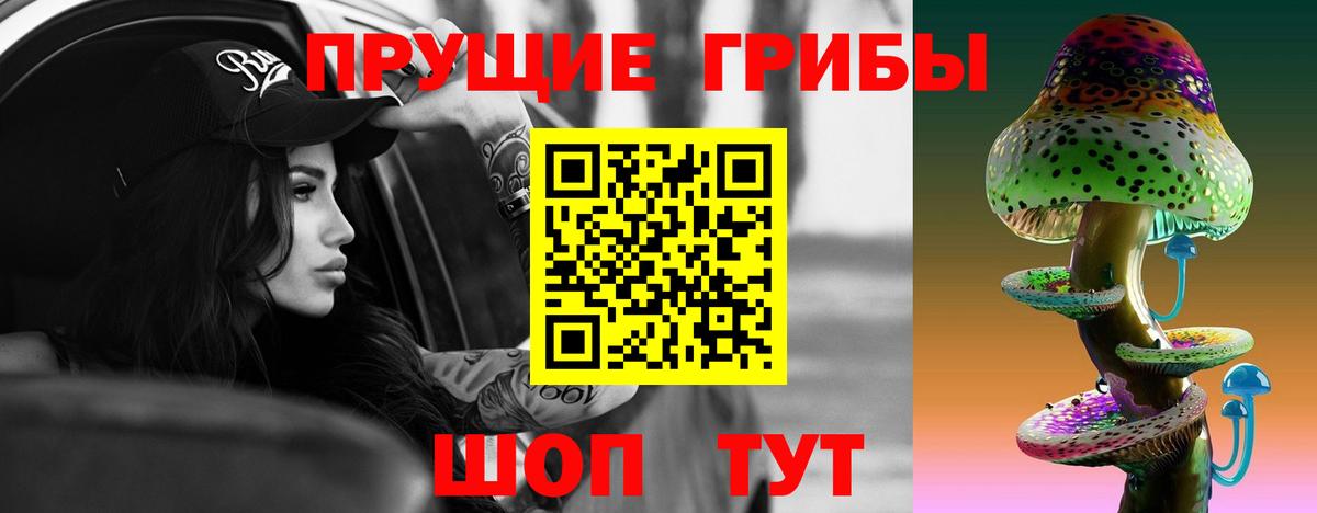 Новосибирск  как найти закладки  Вход с VPN  Галлюциногенные грибы Cubensis 